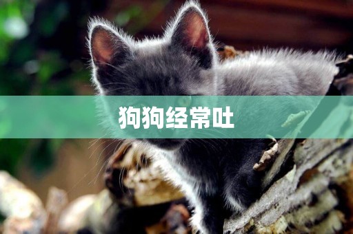 狗狗經常吐