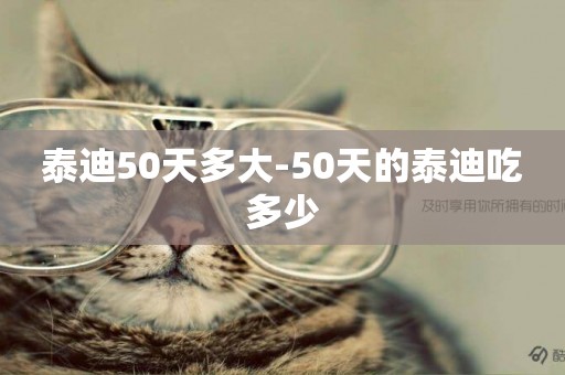 泰迪50天多大-50天的泰迪吃多少