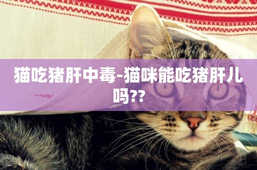 貓吃豬肝中毒-貓咪能吃豬肝兒嗎??