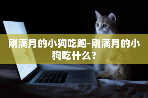 剛滿月的小狗吃跑-剛滿月的小狗吃什么？