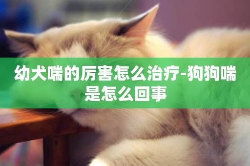 幼犬喘的厲害怎么治療-狗狗喘是怎么回事