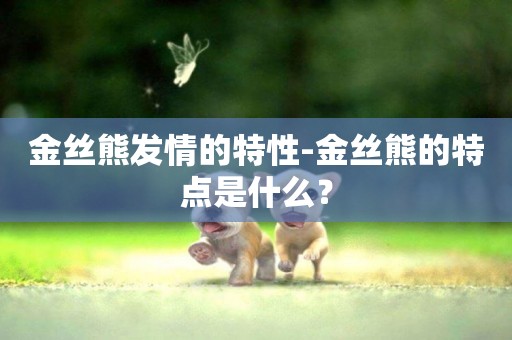 金絲熊發情的特性-金絲熊的特點是什么？