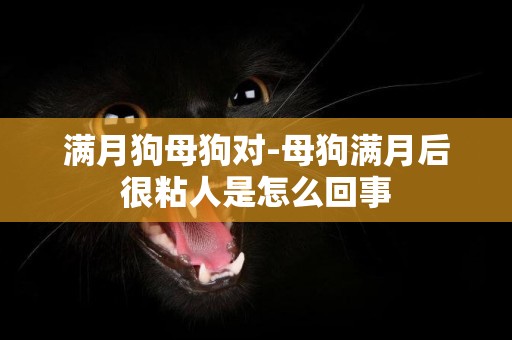 滿月狗母狗對-母狗滿月后很粘人是怎么回事