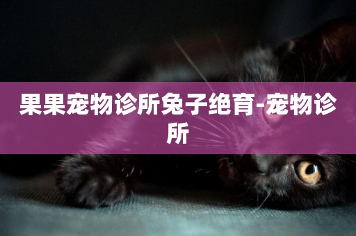 果果寵物診所兔子絕育-寵物診所