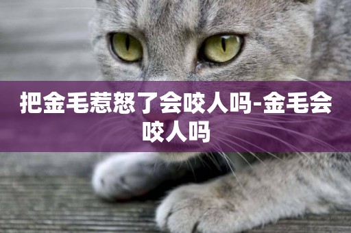 把金毛惹怒了會咬人嗎-金毛會咬人嗎