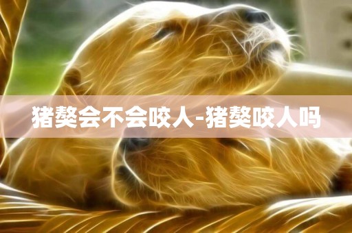 豬獒會不會咬人-豬獒咬人嗎