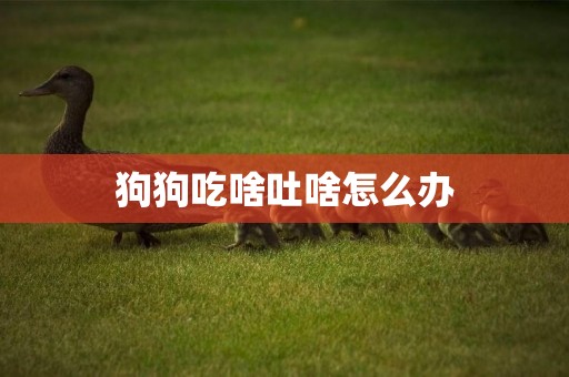 狗狗吃啥吐啥怎么辦