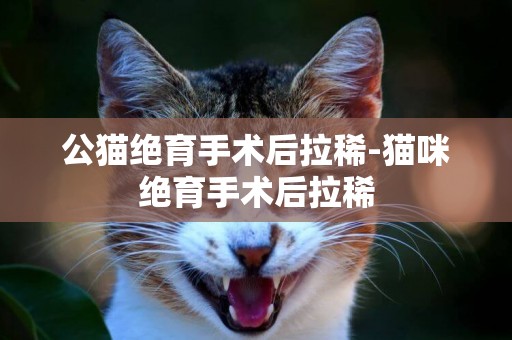 公貓絕育手術后拉稀-貓咪絕育手術后拉稀