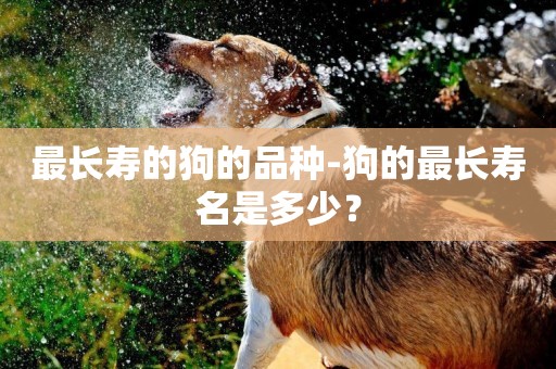 最長壽的狗的品種-狗的最長壽名是多少？