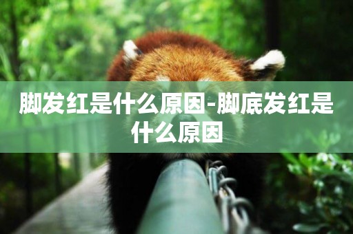 腳發紅是什么原因-腳底發紅是什么原因