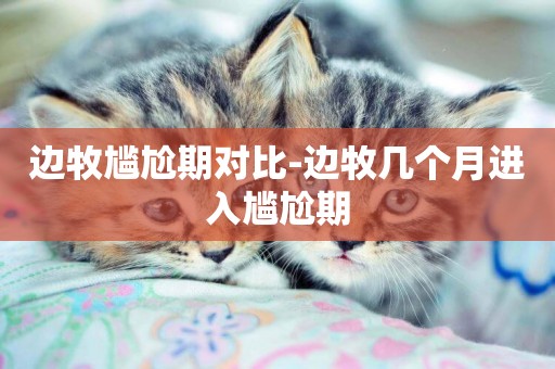 邊牧尷尬期對比-邊牧幾個月進入尷尬期