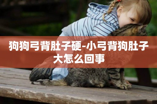 狗狗弓背肚子硬-小弓背狗肚子大怎么回事