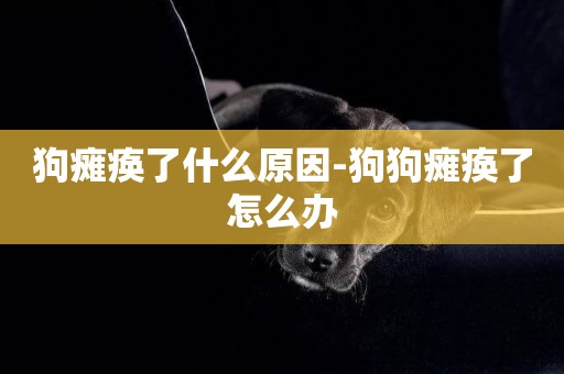 狗癱瘓了什么原因-狗狗癱瘓了怎么辦