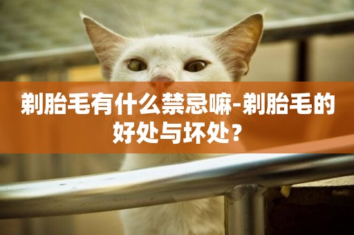 剃胎毛有什么禁忌嘛-剃胎毛的好處與壞處？