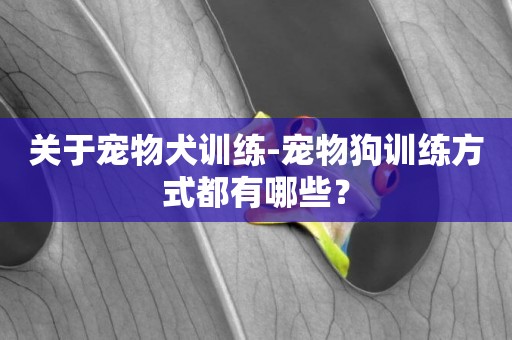 關于寵物犬訓練-寵物狗訓練方式都有哪些？
