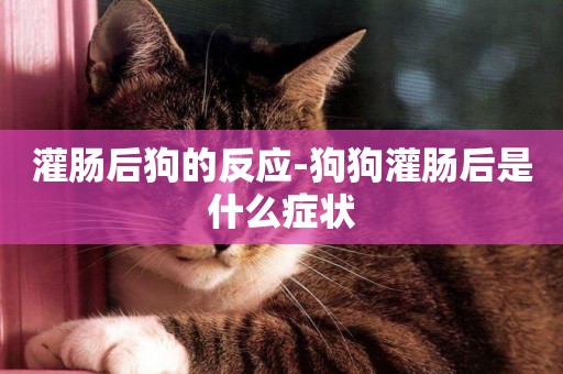 灌腸后狗的反應-狗狗灌腸后是什么癥狀