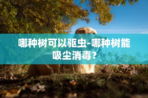 哪種樹可以驅蟲-哪種樹能吸塵消毒？