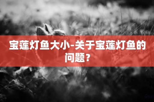 寶蓮燈魚大小-關于寶蓮燈魚的問題？