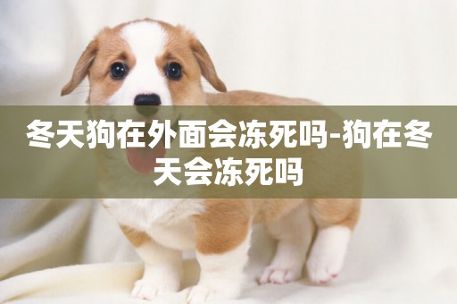 冬天狗在外面會凍死嗎-狗在冬天會凍死嗎