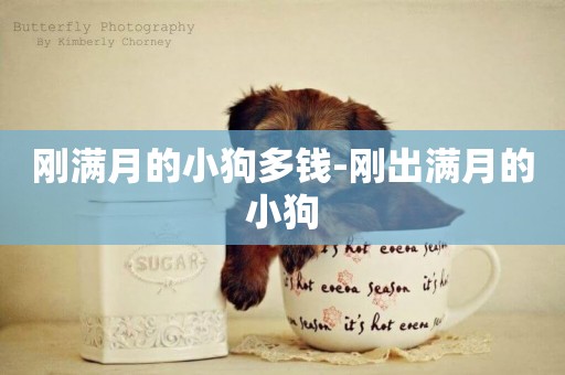 剛滿月的小狗多錢-剛出滿月的小狗