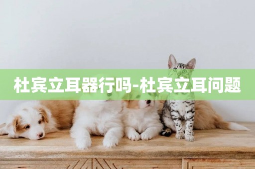 杜賓立耳器行嗎-杜賓立耳問題