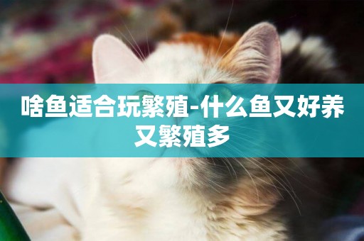 啥魚適合玩繁殖-什么魚又好養又繁殖多