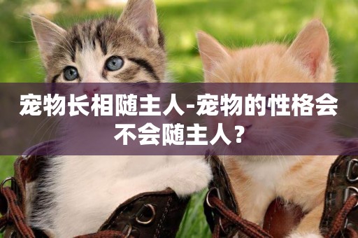 寵物長相隨主人-寵物的性格會不會隨主人？