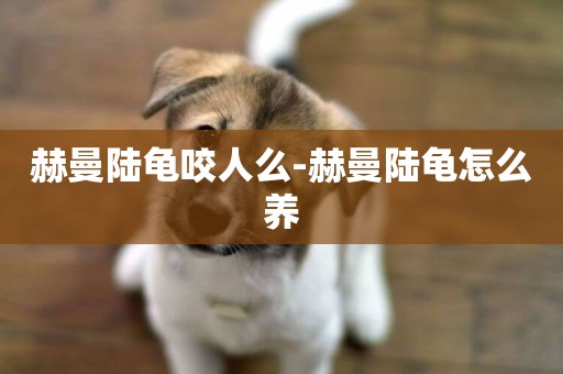 赫曼陸龜咬人么-赫曼陸龜怎么養