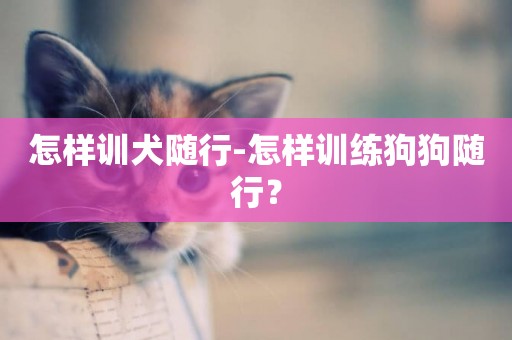怎樣訓犬隨行-怎樣訓練狗狗隨行？