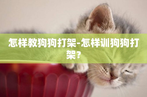 怎樣教狗狗打架-怎樣訓狗狗打架？