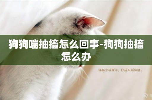 狗狗喘抽搐怎么回事-狗狗抽搐怎么辦