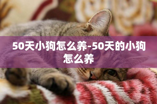 50天小狗怎么養-50天的小狗怎么養