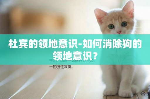 杜賓的領地意識-如何消除狗的領地意識？