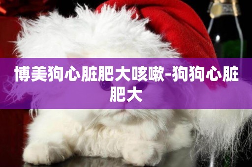 博美狗心臟肥大咳嗽-狗狗心臟肥大