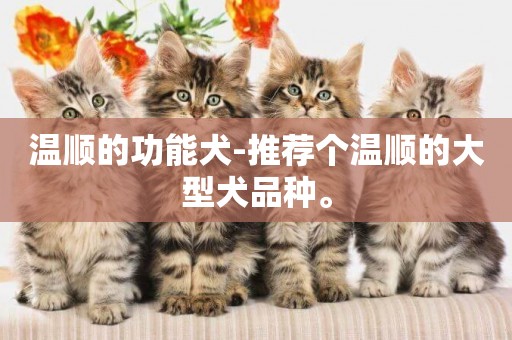 溫順的功能犬-推薦個溫順的大型犬品種。