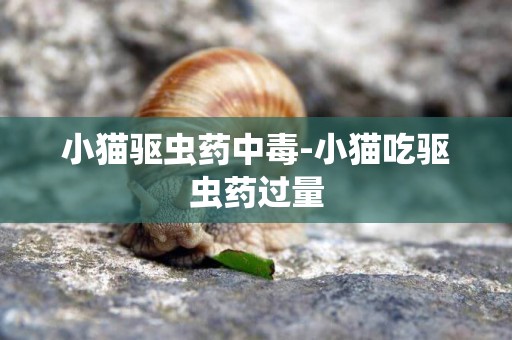 小貓驅蟲藥中毒-小貓吃驅蟲藥過量