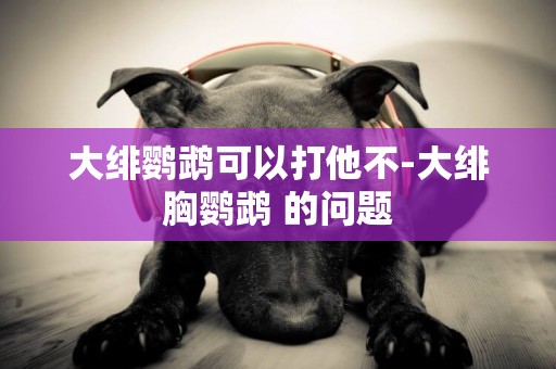 大緋鸚鵡可以打他不-大緋胸鸚鵡 的問題