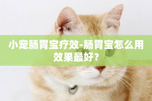 小寵腸胃寶療效-腸胃寶怎么用效果最好？