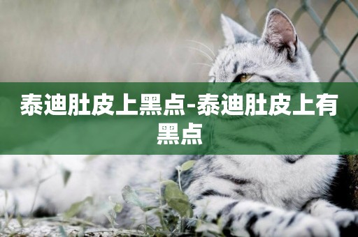泰迪肚皮上黑點-泰迪肚皮上有黑點