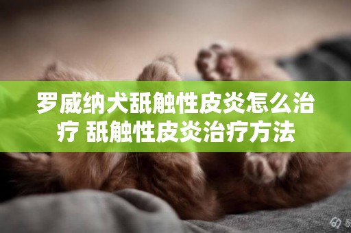 羅威納犬舐觸性皮炎怎么治療 舐觸性皮炎治療方法