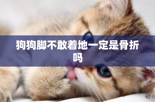 狗狗腳不敢著地一定是骨折嗎