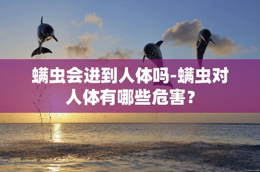 螨蟲會進到人體嗎-螨蟲對人體有哪些危害？