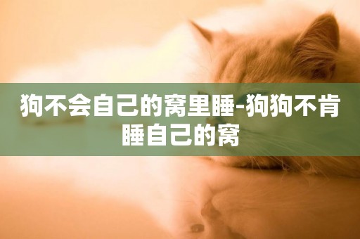 狗不會自己的窩里睡-狗狗不肯睡自己的窩
