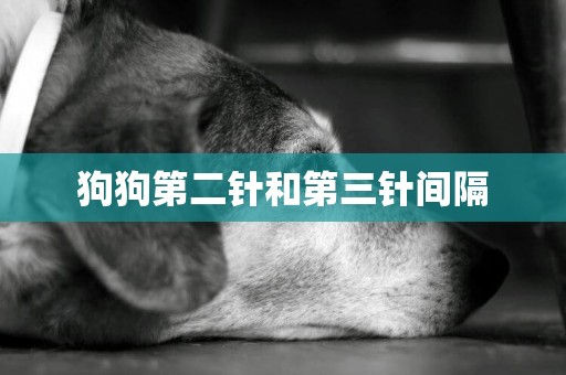 狗狗第二針和第三針間隔