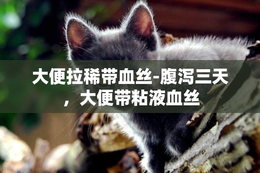 大便拉稀帶血絲-腹瀉三天，大便帶粘液血絲