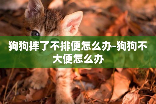 狗狗摔了不排便怎么辦-狗狗不大便怎么辦