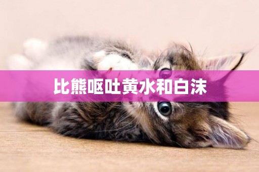 比熊嘔吐黃水和白沫