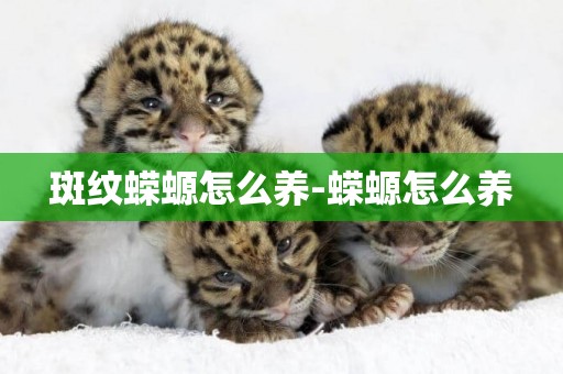 斑紋蠑螈怎么養-蠑螈怎么養