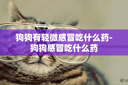 狗狗有輕微感冒吃什么藥-狗狗感冒吃什么藥