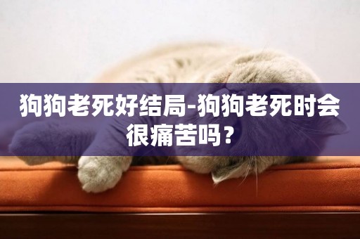 狗狗老死好結局-狗狗老死時會很痛苦嗎？